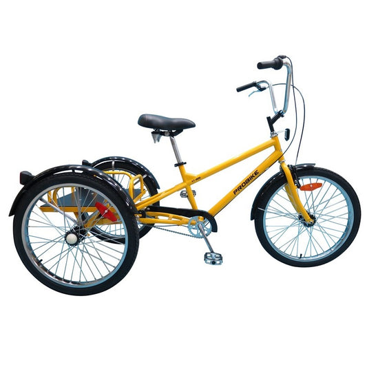 Adult Probike Industrial Tricycle