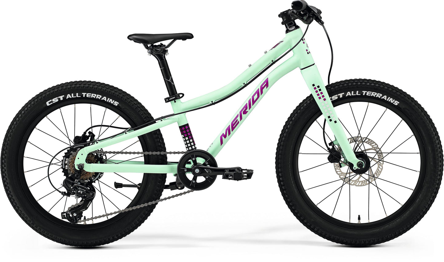 20" Merida Matts Jr Mint