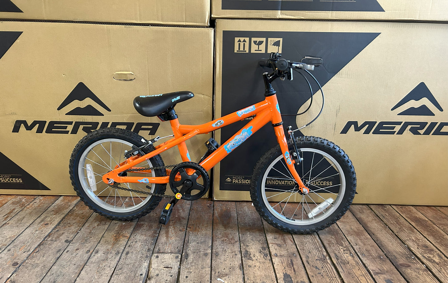 16" Dawes Blowfish