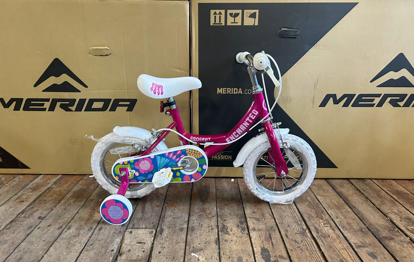 12" Concept Enchanted