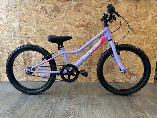 20” Ignite Cosmic